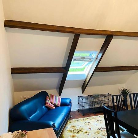 Appartement Charmant Orgnac-Sur-Vezere Avec Jardin Et Parking מראה חיצוני תמונה