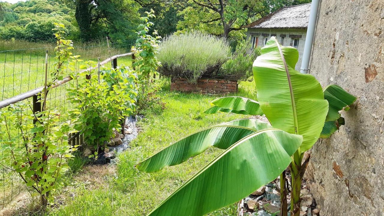 Appartement Charmant Orgnac-Sur-Vezere Avec Jardin Et Parking מראה חיצוני תמונה