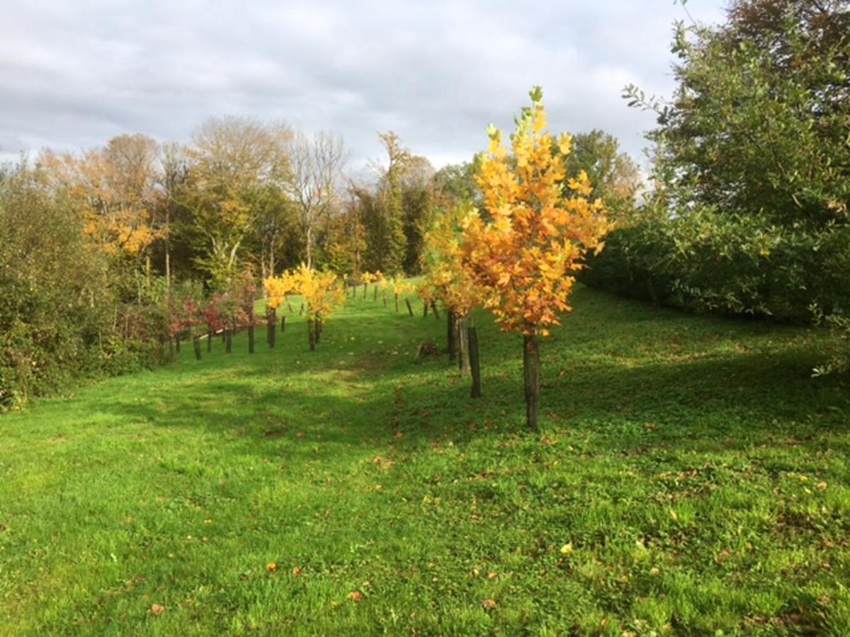 Appartement Charmant Orgnac-Sur-Vezere Avec Jardin Et Parking מראה חיצוני תמונה